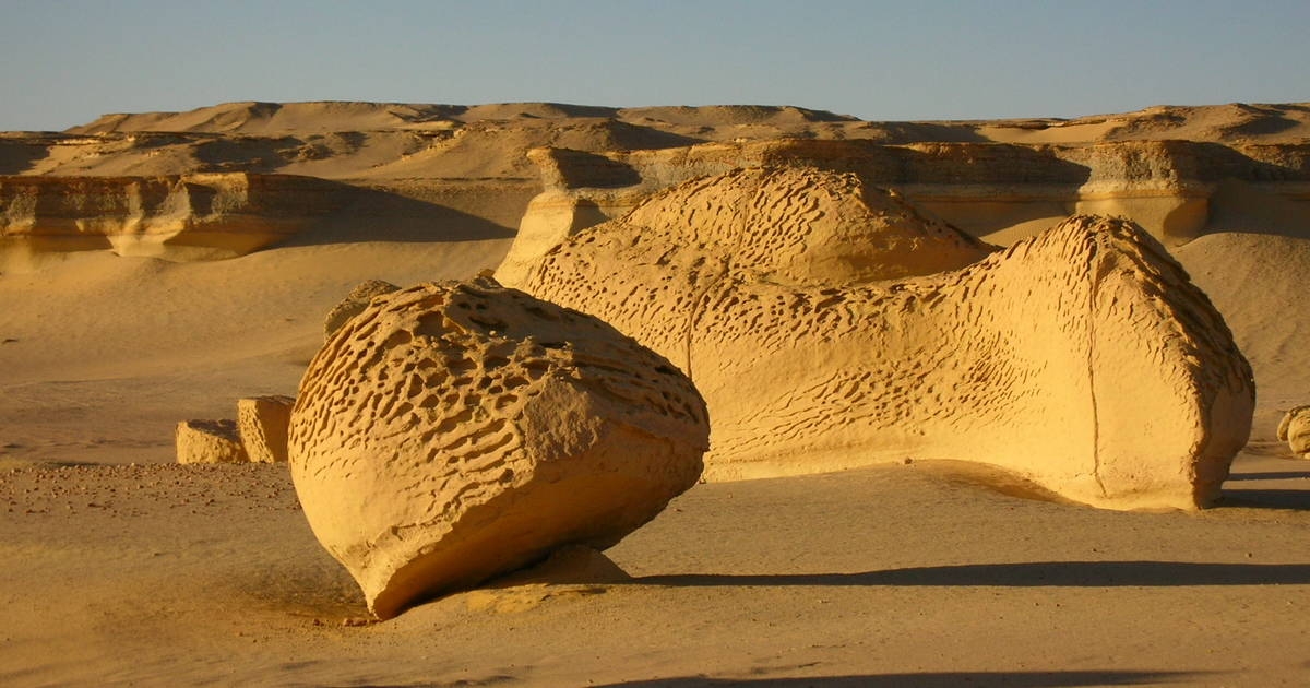 Tour to Fayoum Oasis from Cairo